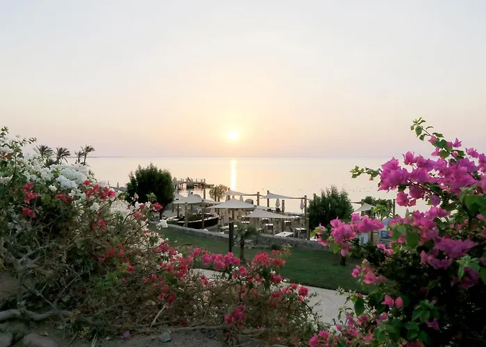Resort Retac Qunay & Dahab